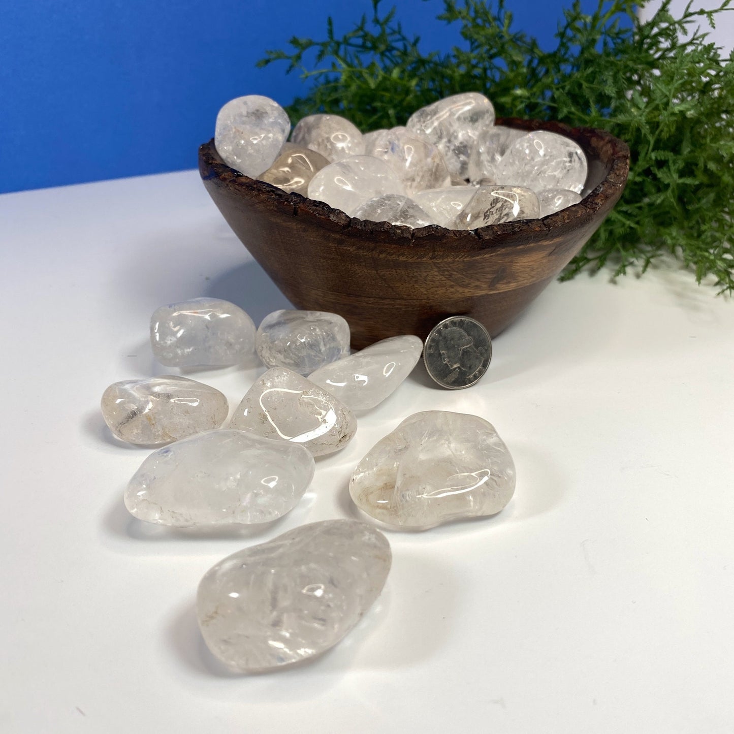 Natural Clear Quartz Crystal - White Tumbled Stone - Protection and Cleansing Crystals - genuine healing stones for all chakras