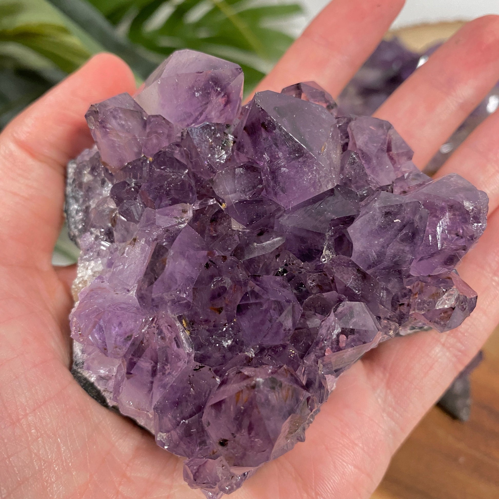 Raw Lilac Violet Amethyst (choose your size) - Lavender Amethyst Druzy from Brazil - Genuine Rough Geode for Crystal Grids, Healing, Reiki