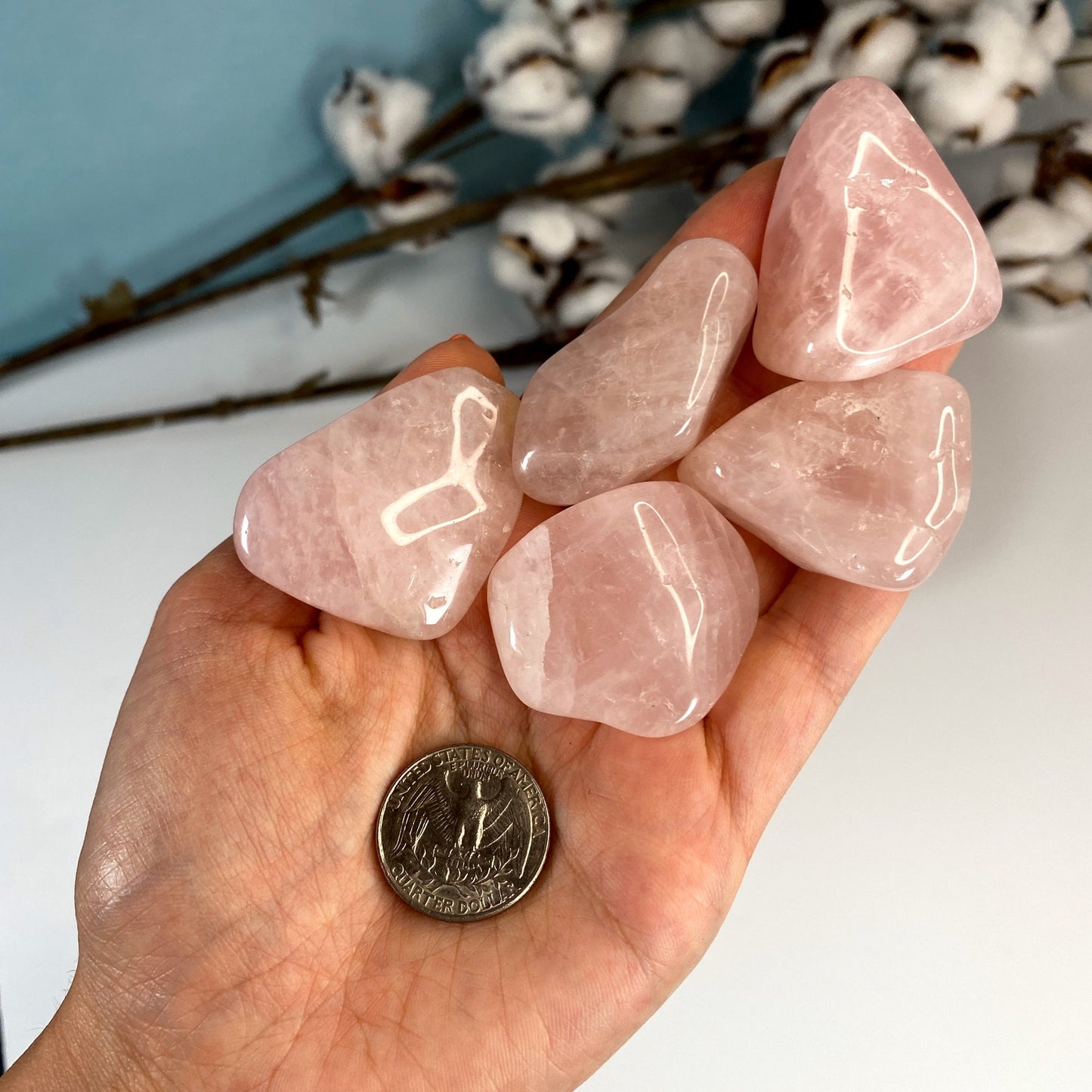 Natural Rose Quartz Crystal - Pink Tumbled Stone - Love and Passion Crystals - genuine healing stones for heart chakra
